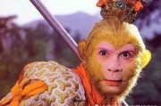 孫悟空吃瓜子,猴王孫悟空的瓜子奇緣